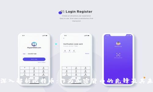 : 深入解析比特币：作为加密货币的先锋及其未来