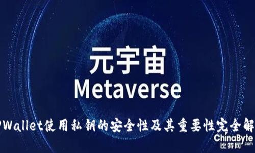 TPWallet使用私钥的安全性及其重要性完全解析