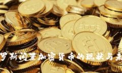 探索俄罗斯闲置加密货币
