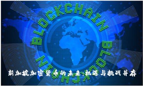 新加坡加密货币的未来：机遇与挑战并存