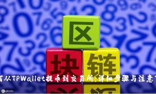 如何从TPWallet提币到交易所:详细步骤与注意事项