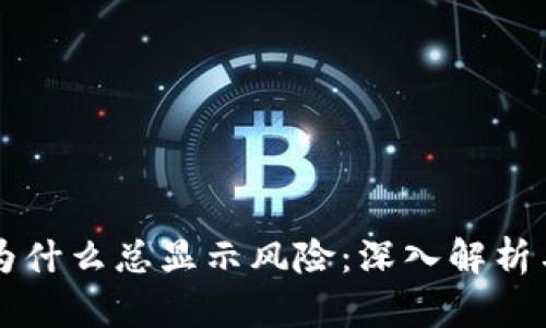 TPWallet为什么总显示风险：深入解析与解决方案