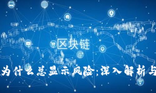 TPWallet为什么总显示风险：深入解析与解决方案