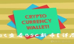 如何使用TPWallet查看BSC新币？详尽指南与实用技巧