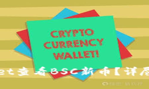 如何使用TPWallet查看BSC新币？详尽指南与实用技巧