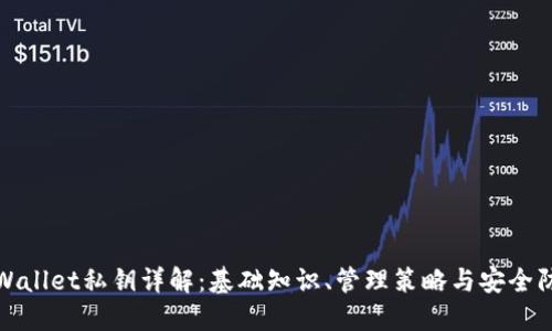 TPWallet私钥详解：基础知识、管理策略与安全防护