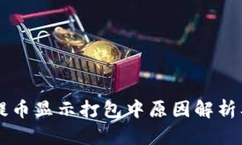 TPWallet提币显示打包中原因解析及解决方法