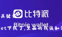 思考及关键词TPWallet下线了
