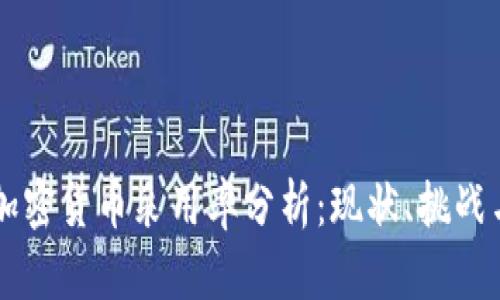 中国加密货币采用率分析：现状、挑战与未来
