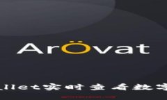 如何使用TPWallet实时查看数