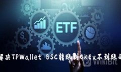 如何解决TPWallet BSC转账到